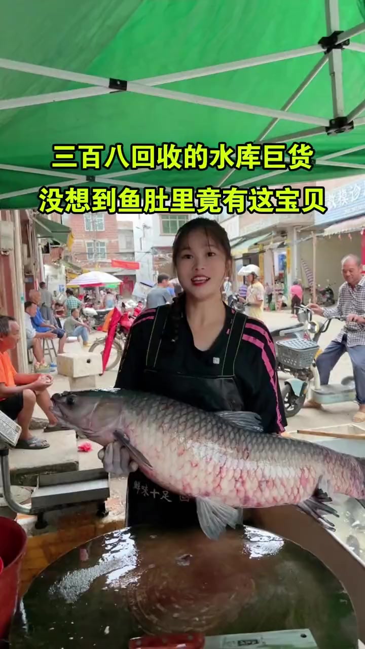 三百八回收的水库巨货，没想到鱼肚里竟有这宝贝