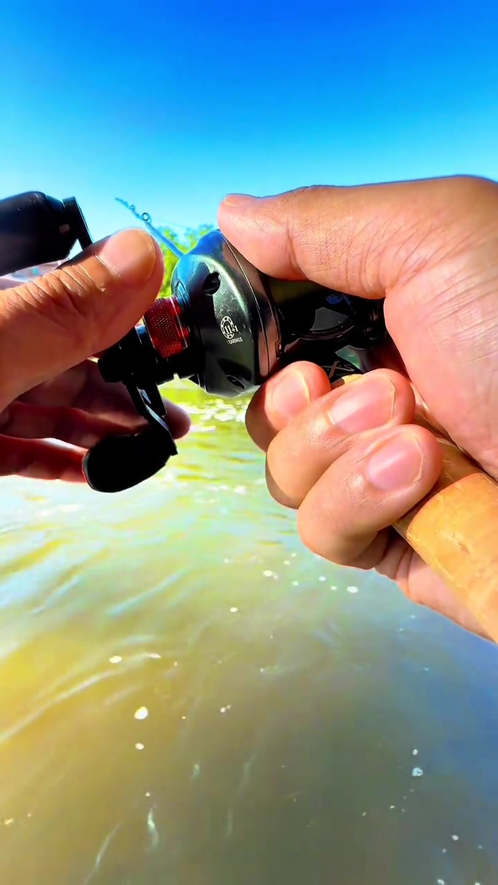 水坝狂拔大青稍，偶遇水坝溪舞鱼狂拔青稍