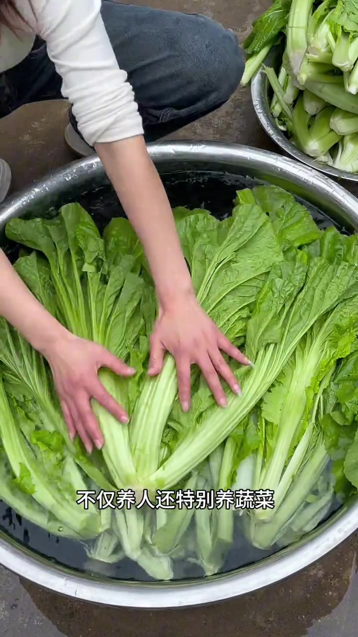 无论远嫁进家，只要找对了人，在哪里都会过得好，在安徽这边没有这样的酸菜，这是我自己种的大青