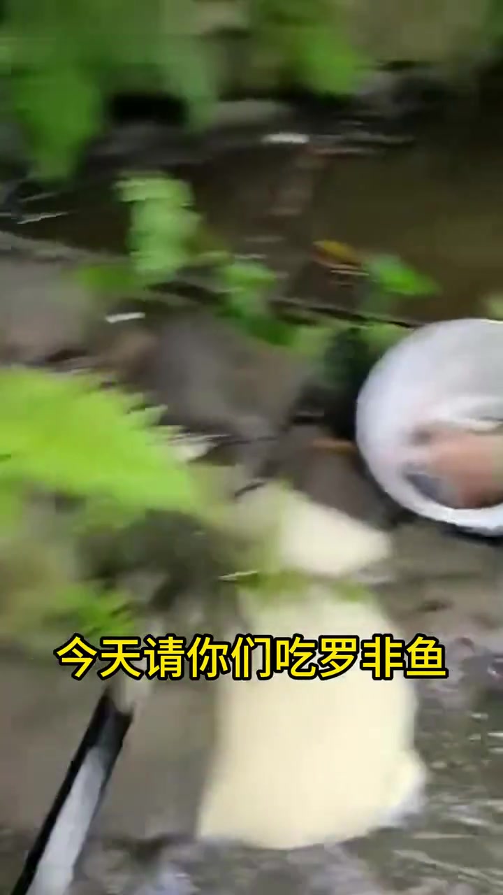 钓鱼佬:看到没?这就是不吃饵料的下场!
