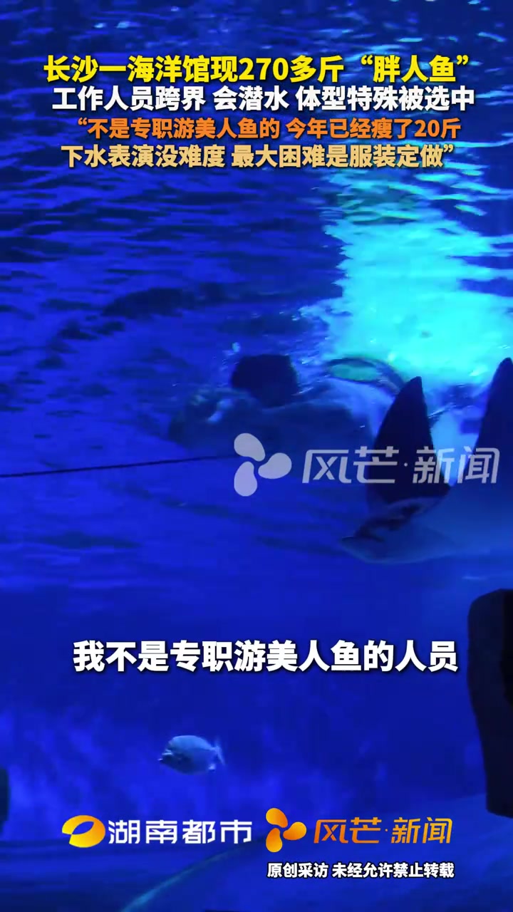 长沙一海洋馆现270多斤“胖人鱼” 工作人员跨界 会潜水 体型特殊被选中“不是专职游美人鱼