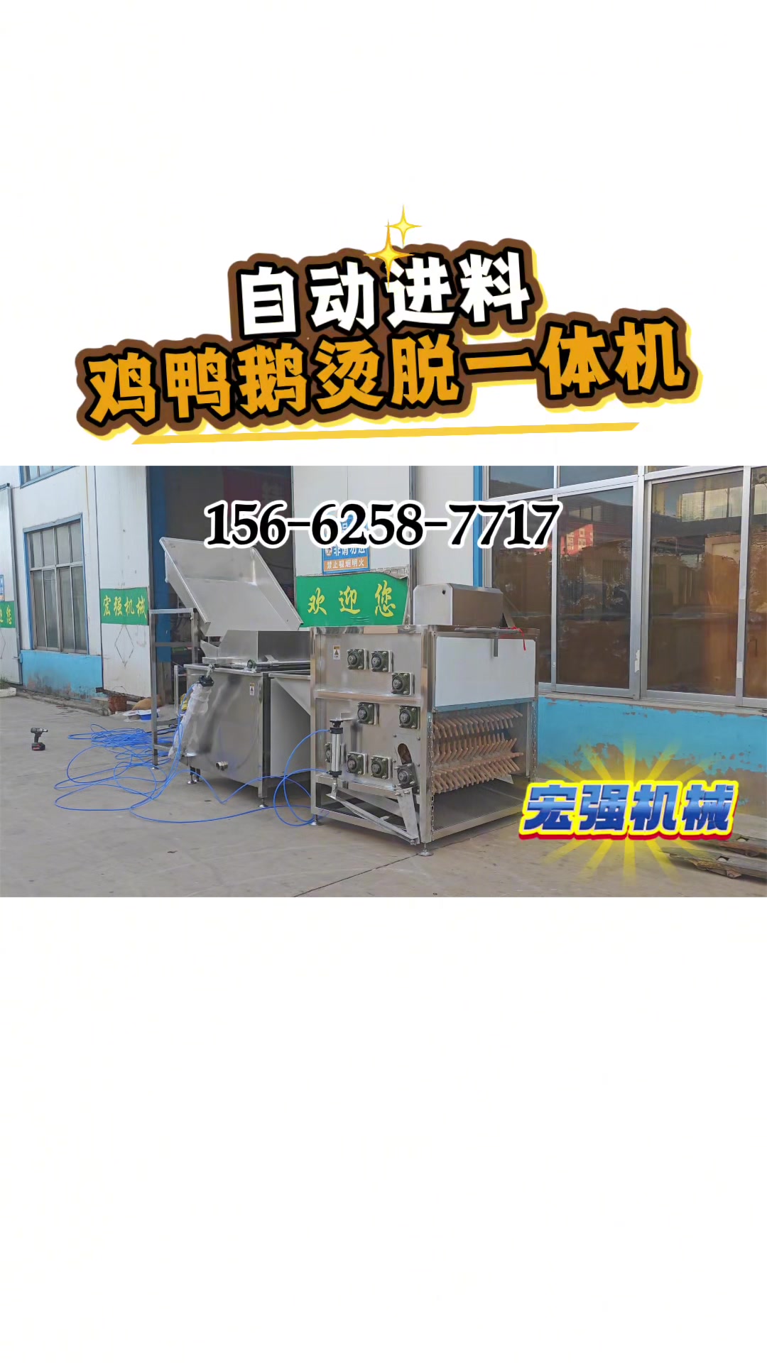 可搭配小型屠宰流水线的全自动鸡鸭鹅脱毛机 烫脱一体机