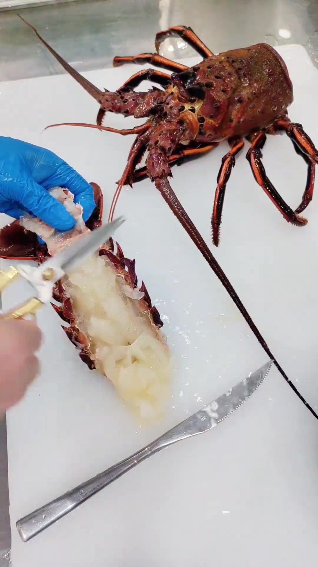 大红龙虾肉肉,有点黄龙玉的感觉