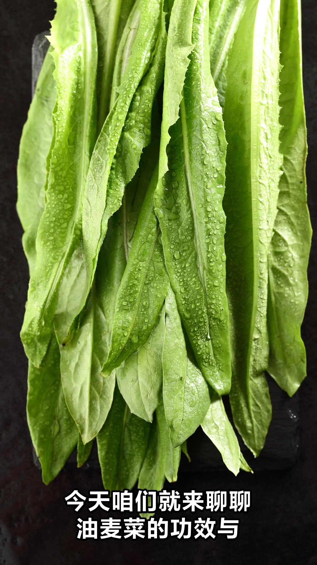油麦菜的神奇功效与营养大揭秘