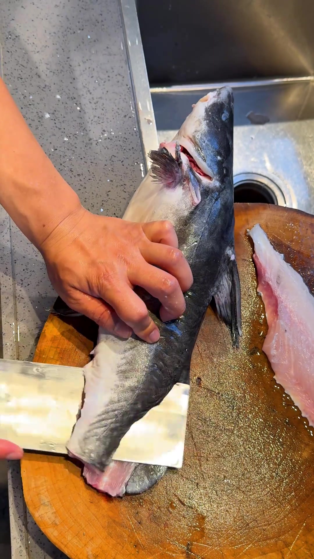 今天搞了一条江团做鱼生结果……