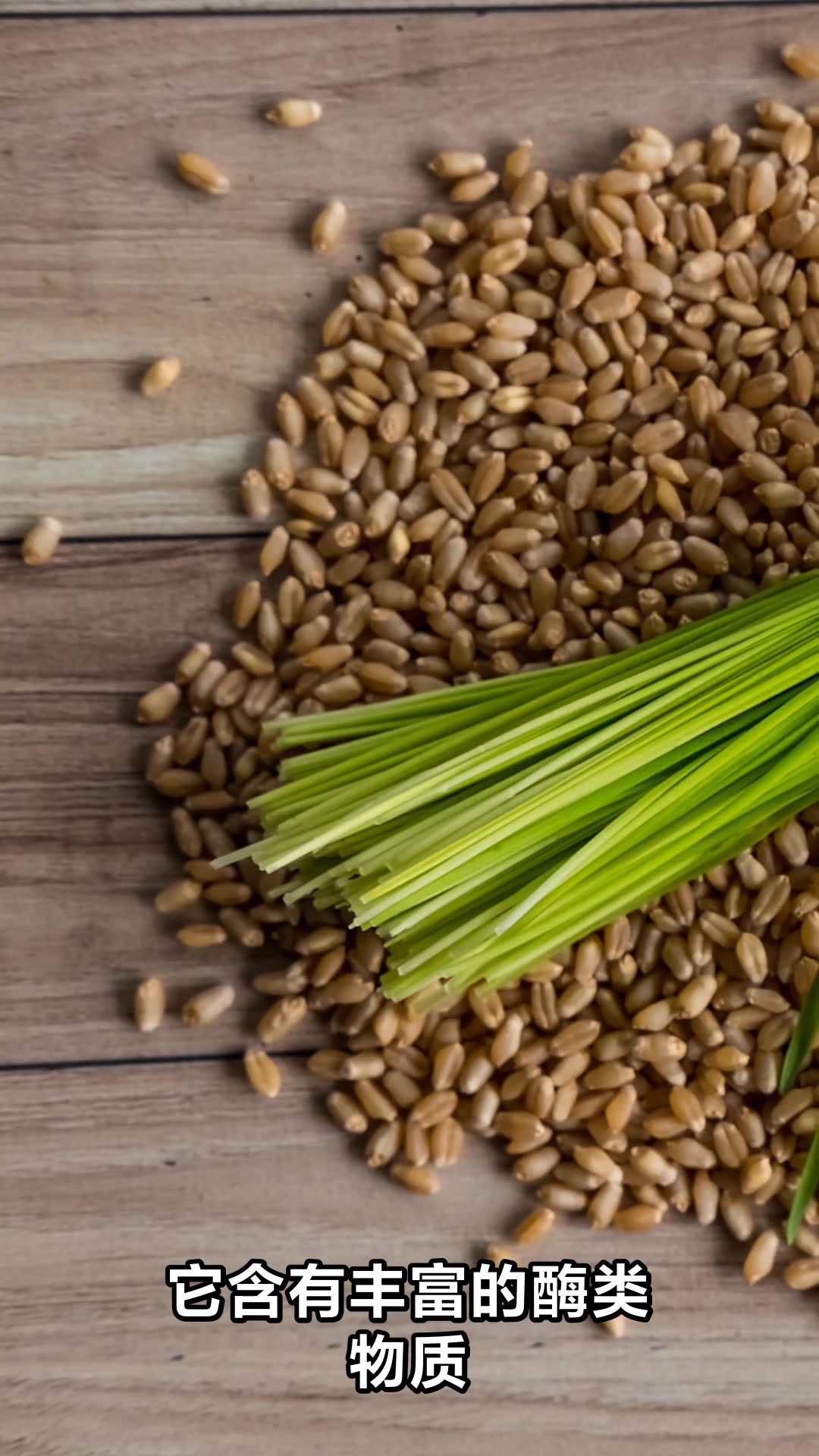 客家黄酒的神奇功效与养生作用