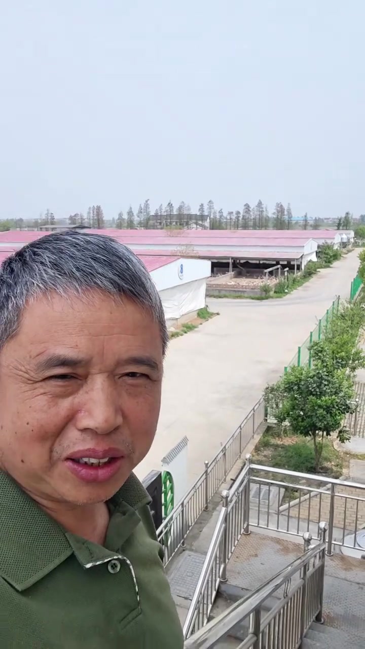 这个种蛋鸭养殖及鸭苗孵化一体的基地应该能进全国前三吧