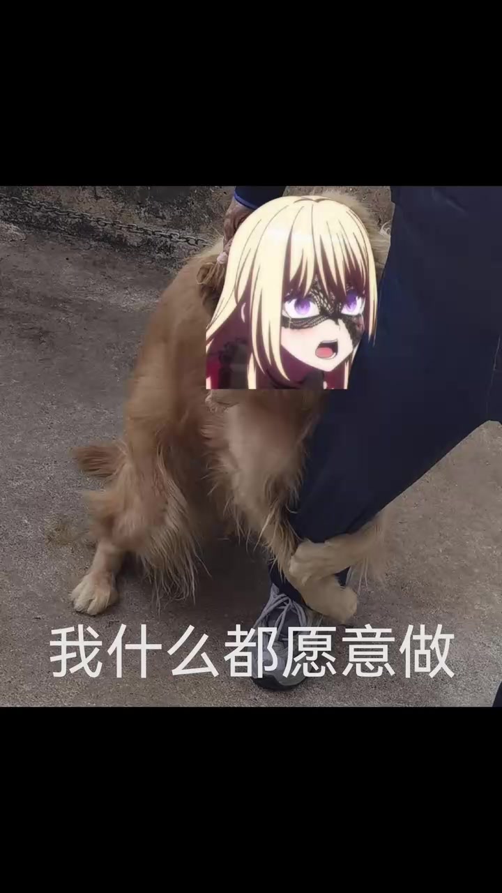 母鸡表情包来了