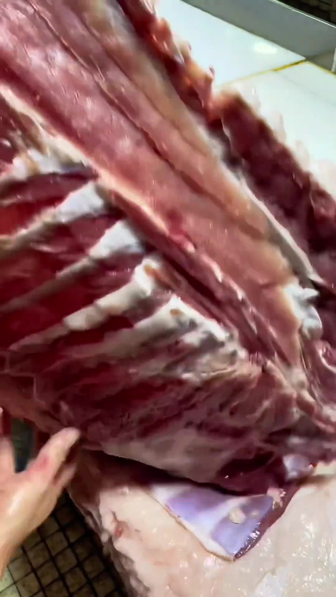 一段视频详解猪的所有部位,你学会了吗?