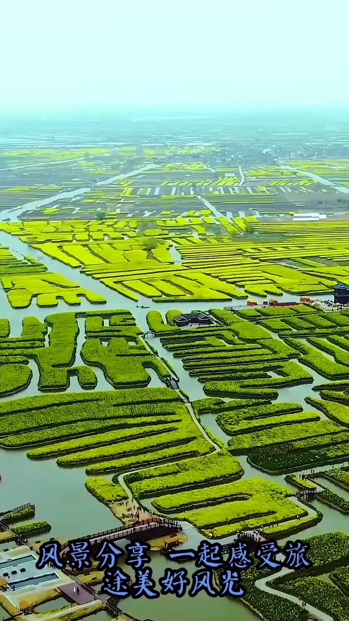 夏日旅游,油菜花,春天里最美的花,正是农民们馈赠给春天,大自