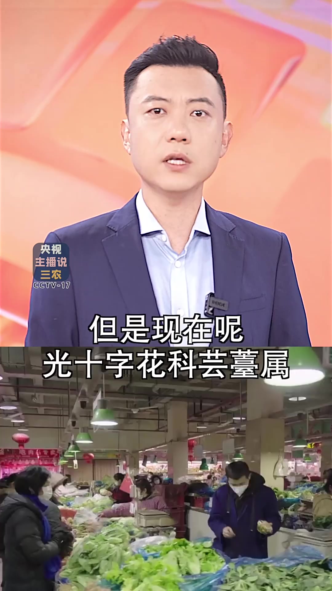 为啥说“菜篮子工程”是伟大的工程？
