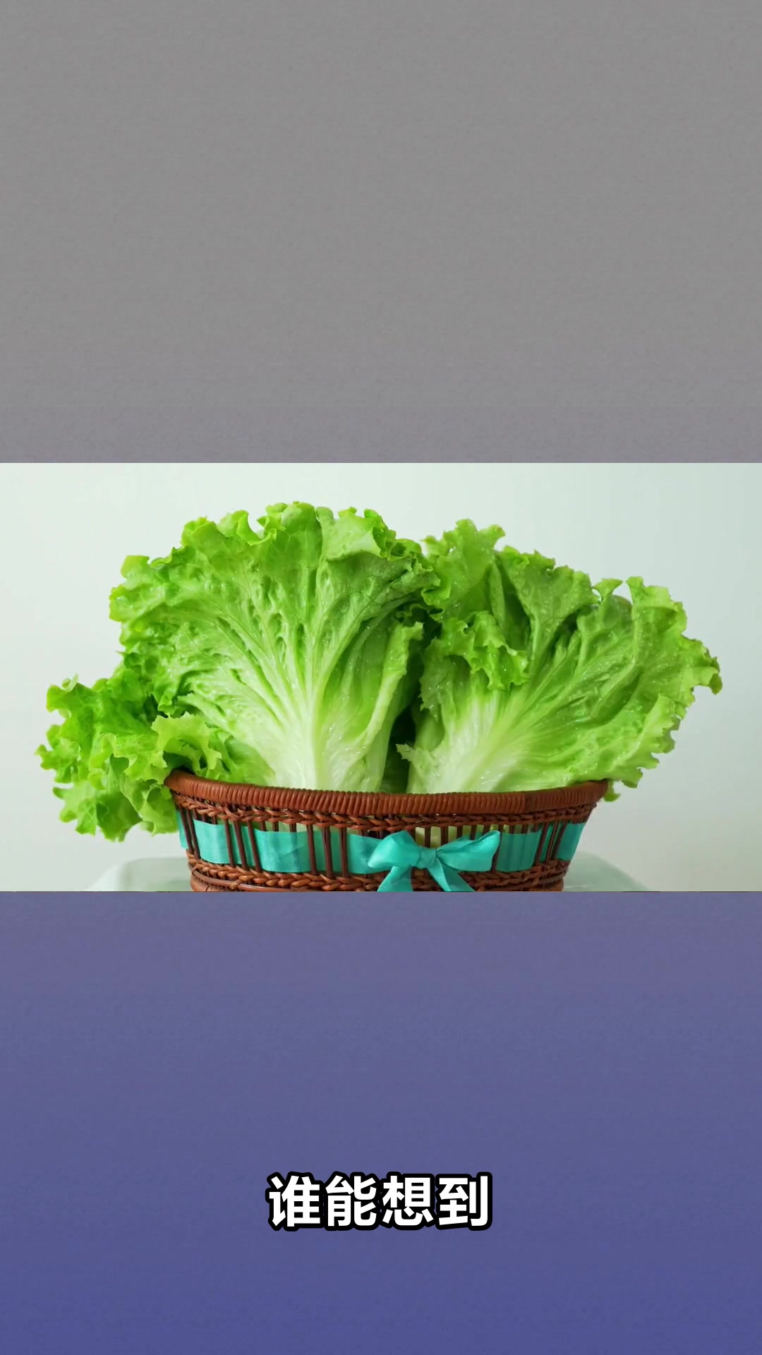 生菜竟然有这些神奇功效