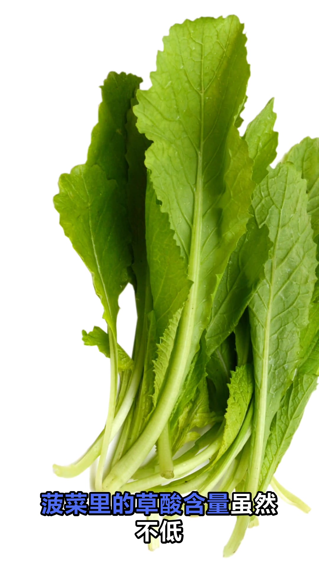 菠菜和豆腐不能一起吃吗