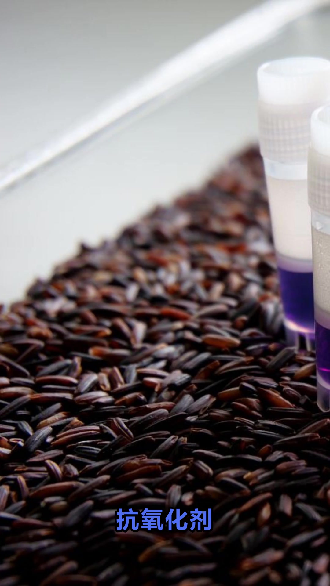 蓝蝶花泡水有什么功效和作用