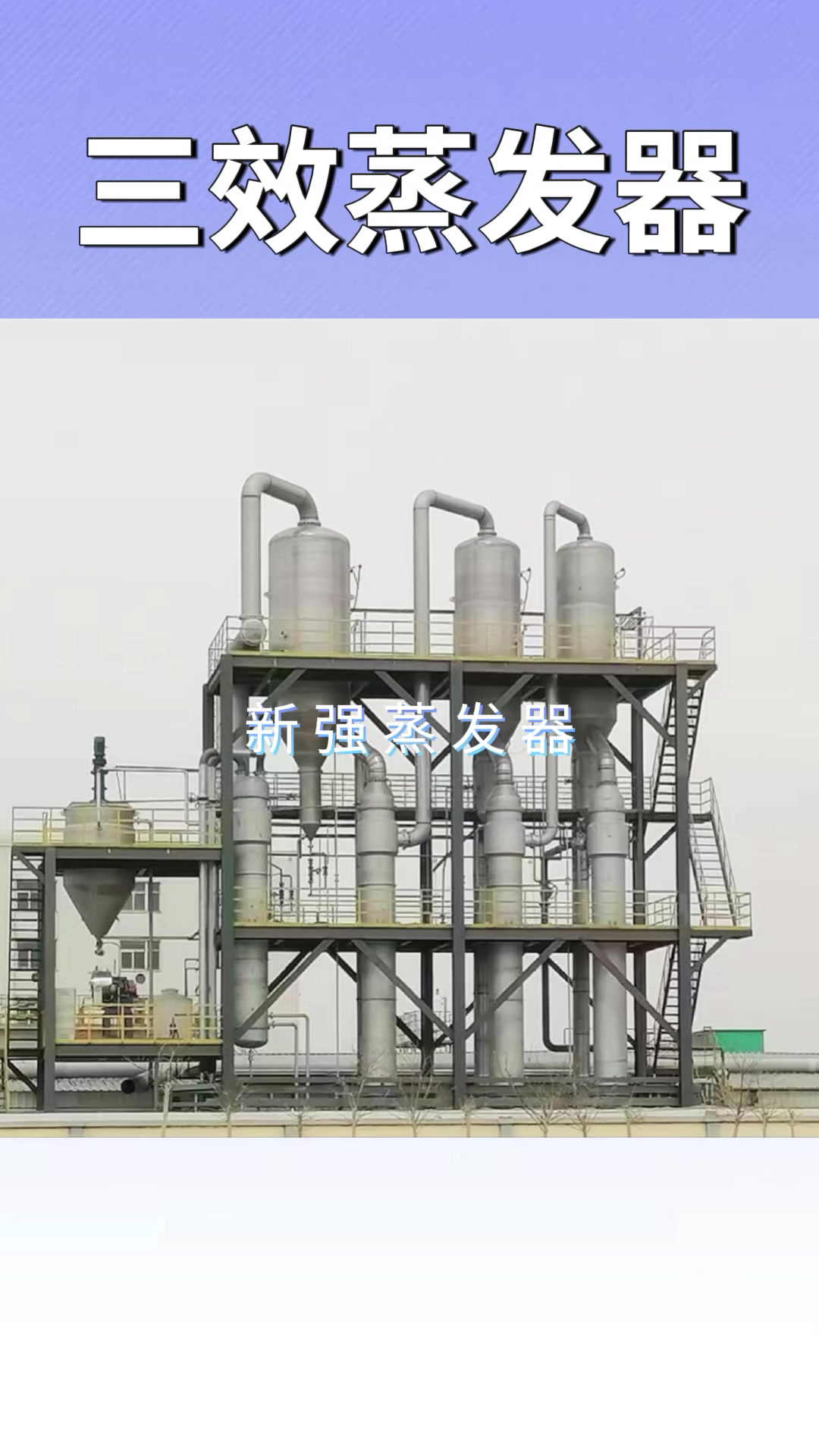 造纸污水蒸发器 含酚废水处理 三效蒸发器