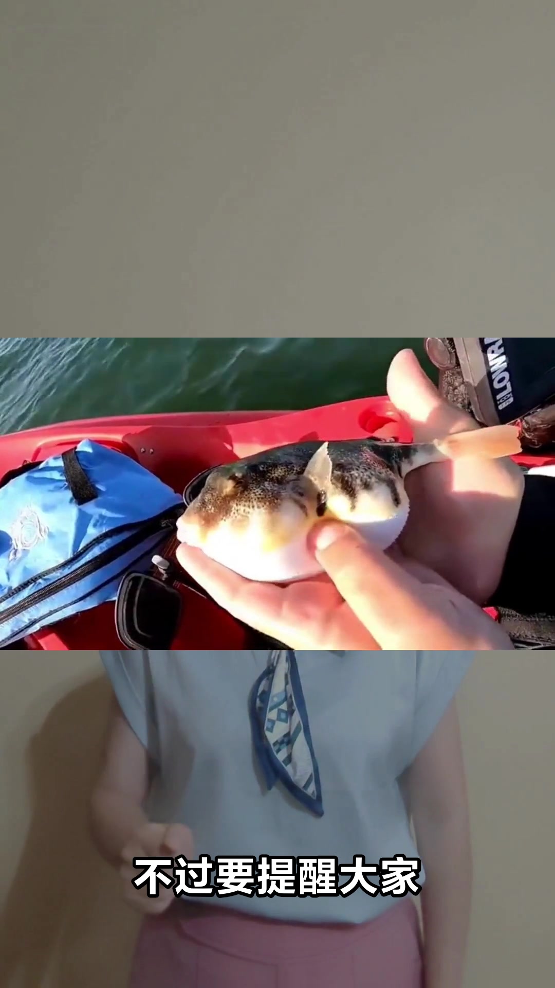 河豚的营养价值与功效你知道吗