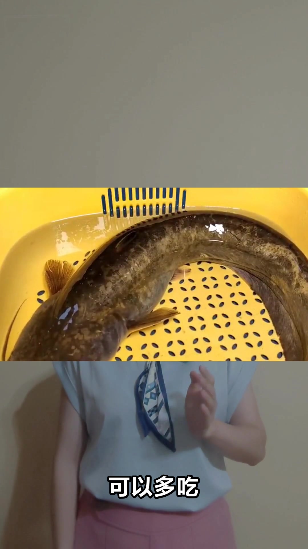 鲶鱼的神奇功效与实用价值