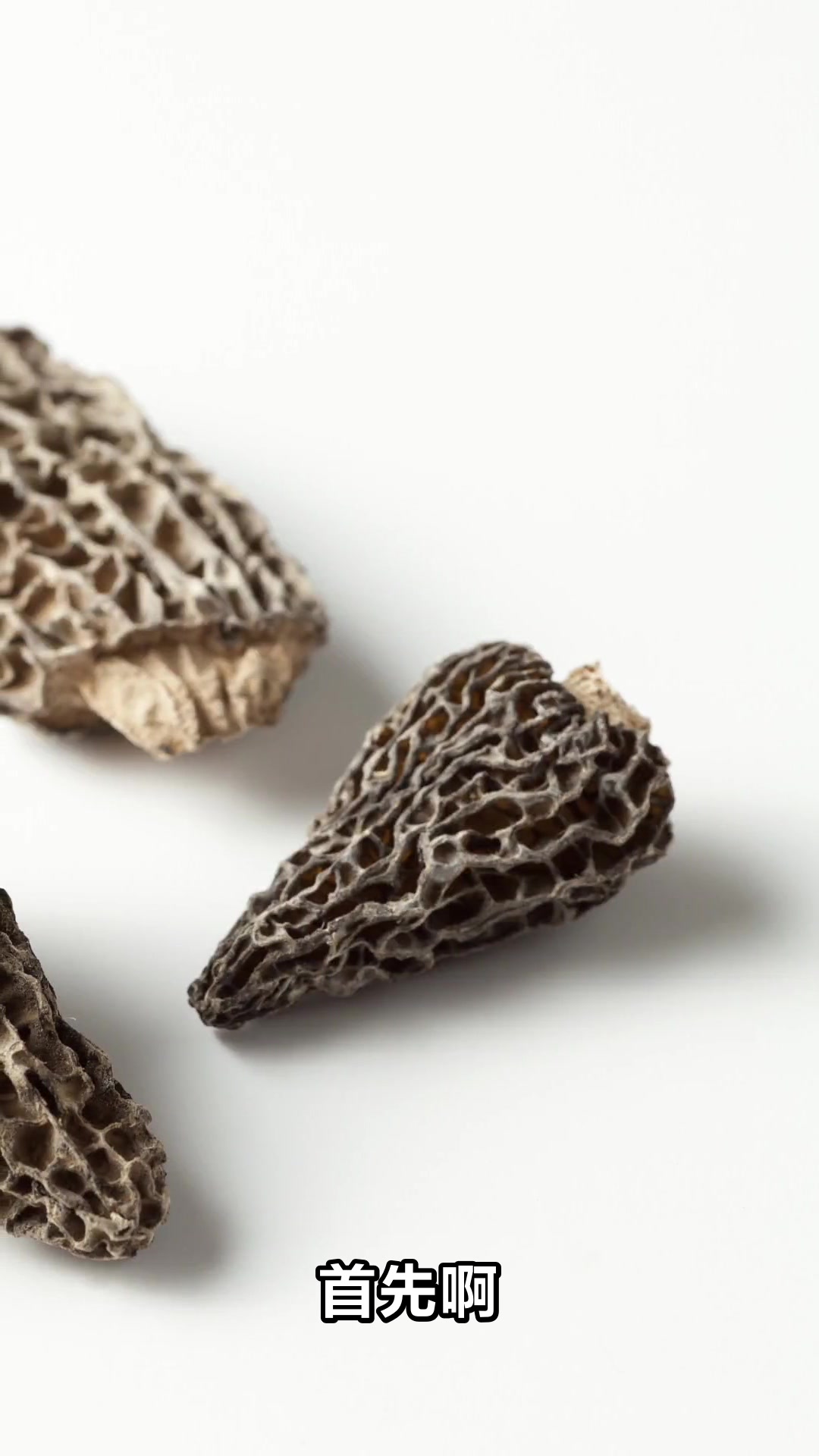 羊肚菌不能和什么一起吃