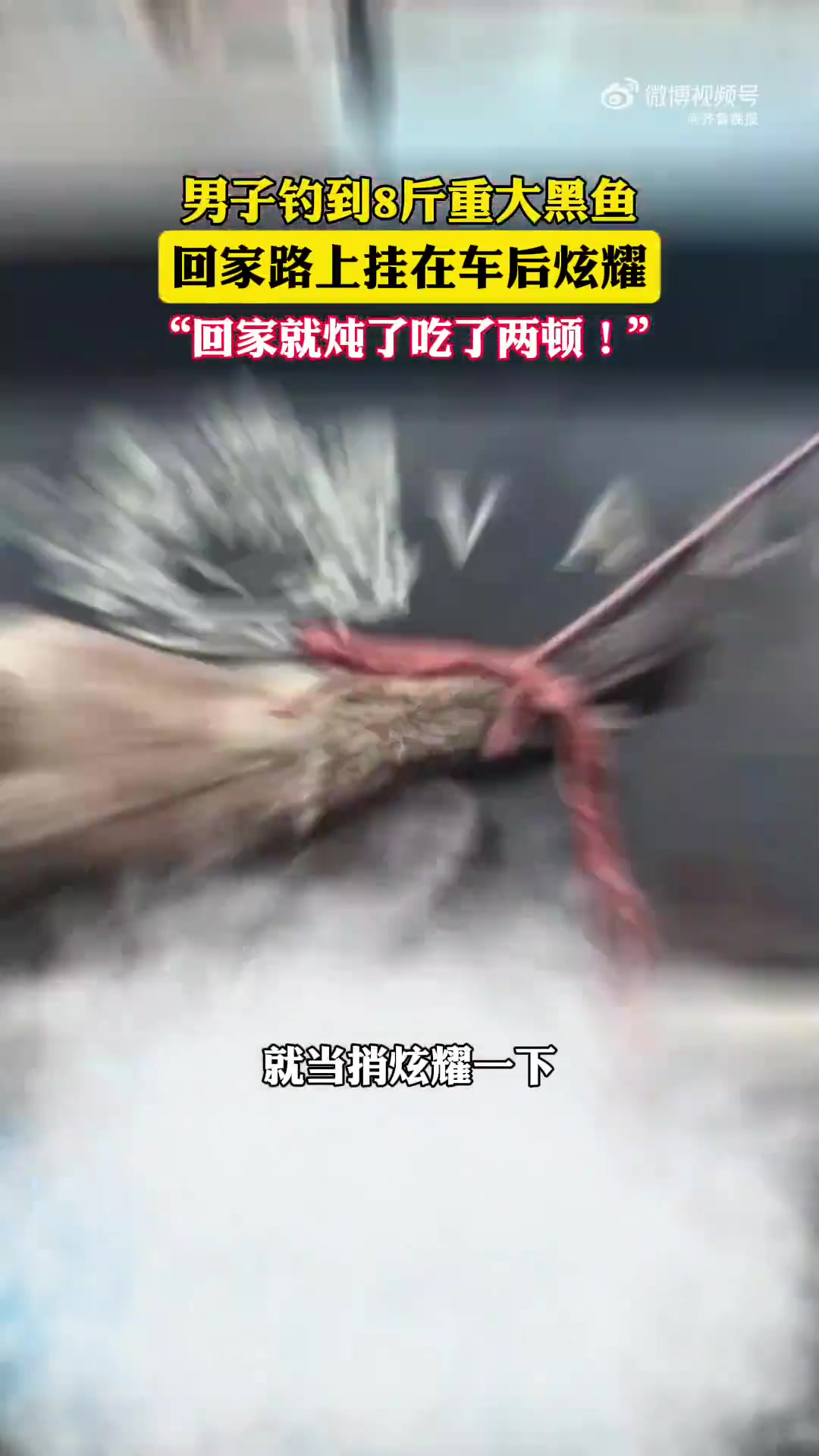 「8斤高高!男子钓到8斤黑鱼挂车后炫耀一路」8月2日,大连。男子钓到8斤重大黑鱼,回家路上