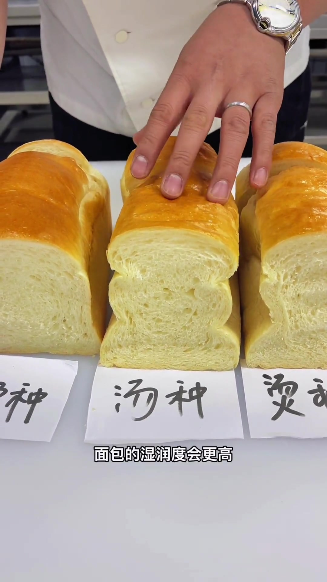各种种面制作面包特点和工艺