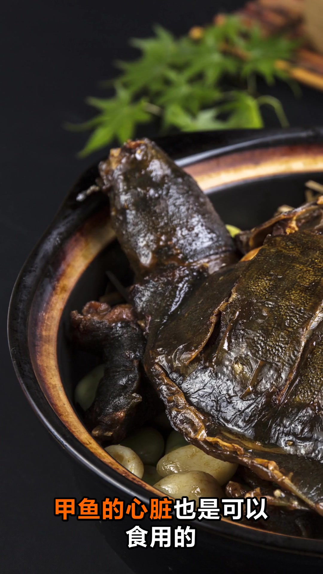 甲鱼内脏哪些部位可以吃