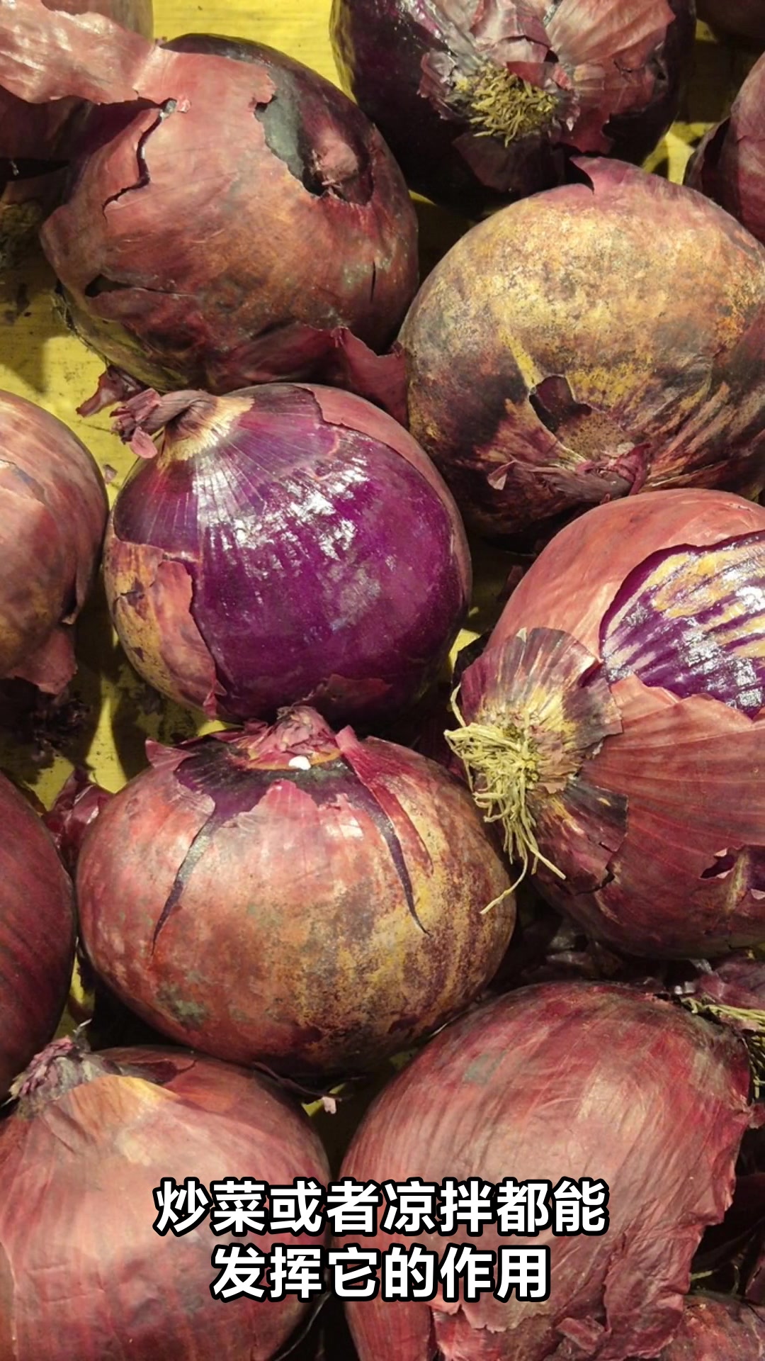 哪些蔬菜是温性食物