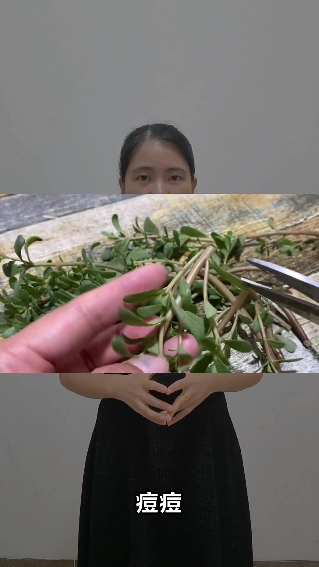 马齿苋加生姜的神奇作用你知道吗