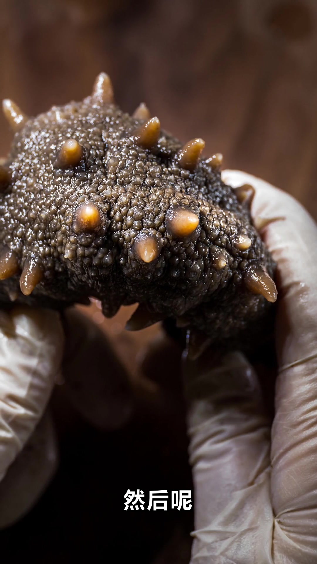 女人吃海参对身体有哪些好处