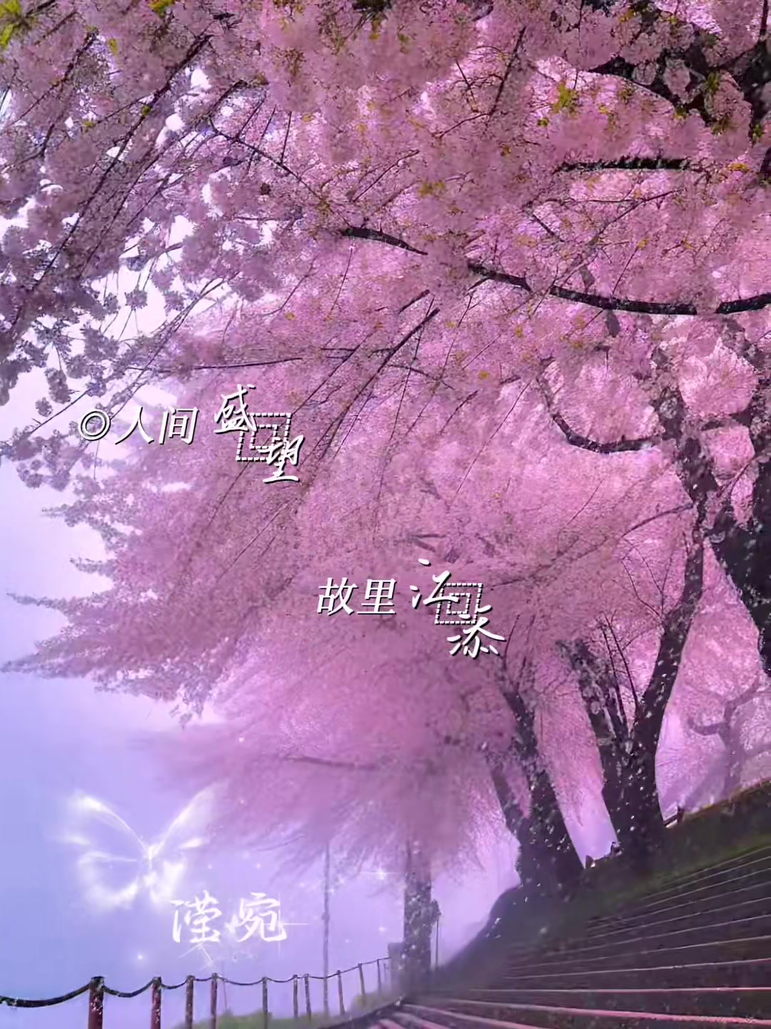 《某某》江添&盛望by木苏里