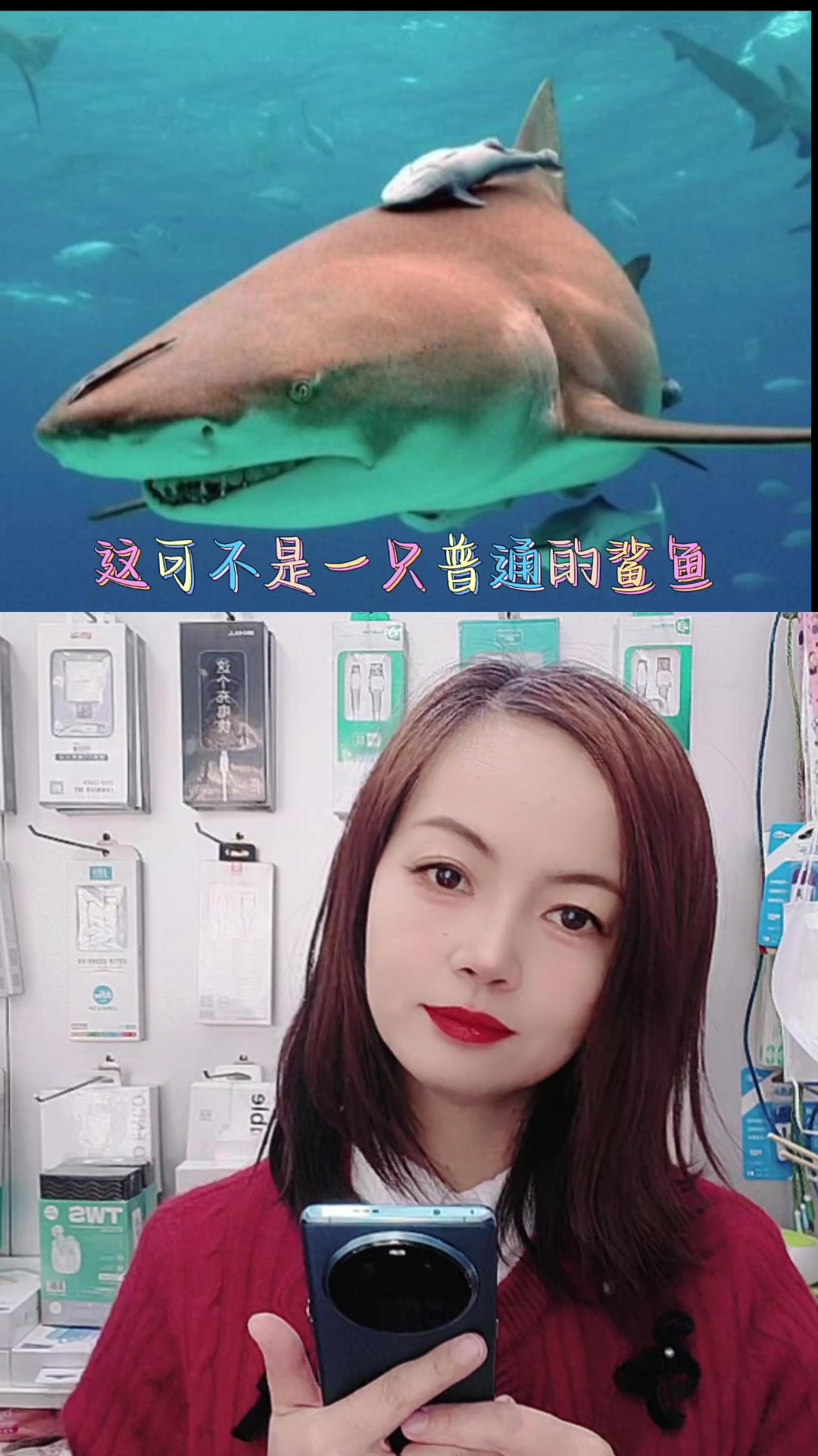 大鲨鱼虽凶猛,却也是海洋的守护者