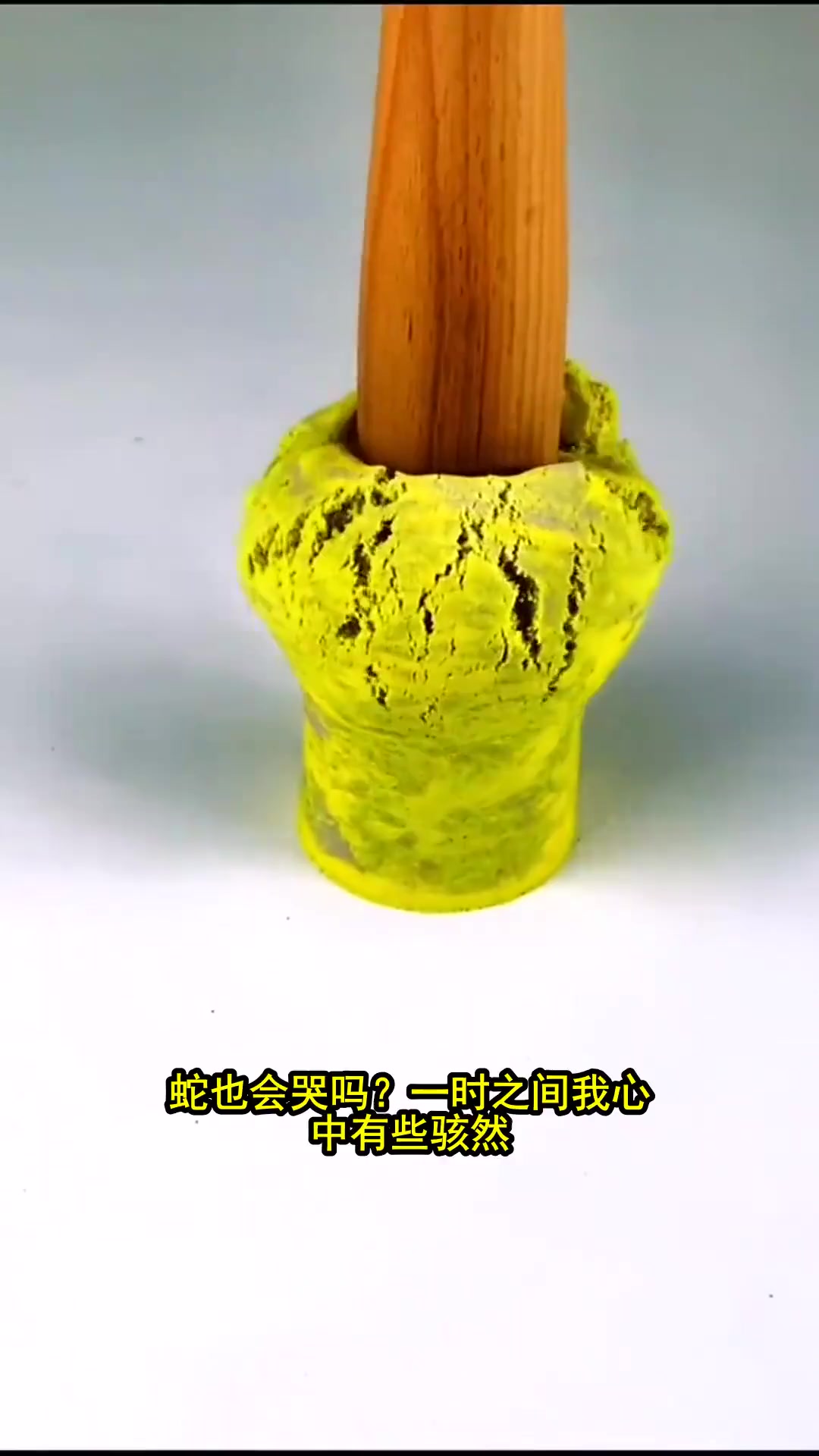 清炖蛇肉引发家庭争议,蛇的眼泪背后藏着什么秘密(2)