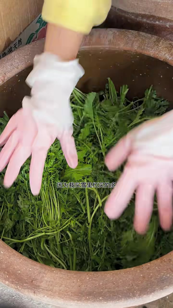 在北方腌制一大缸咸菜，4种青菜混合一起，能吃一整个冬天，只放盐和凉水腌制，原汁原味！