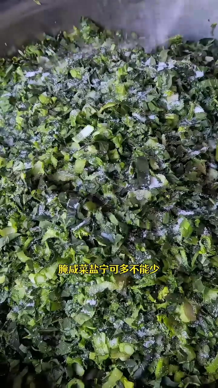 吃不完的青菜腌咸菜能吃上一两年