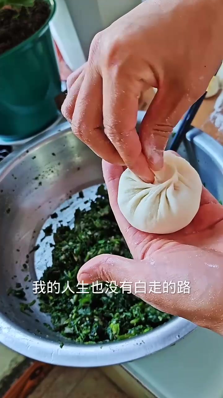 今天做的山野菜小叶芹馅包子