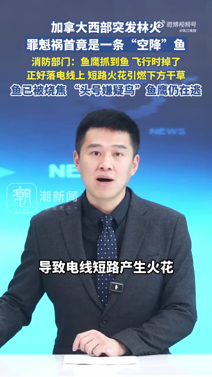 「加拿大突发林火罪魁祸首是条鱼 鱼已烧焦」加拿大西部不列颠哥伦比亚省阿什克罗夫特镇日前发生