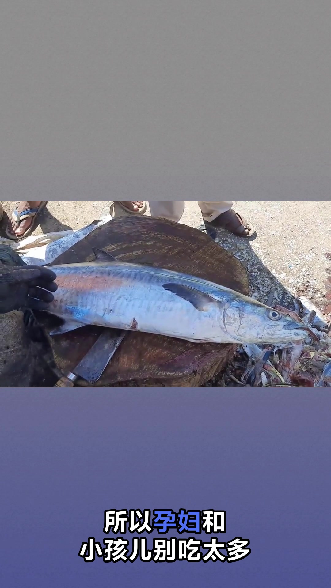 吃马鲛鱼的好处和坏处你知道吗