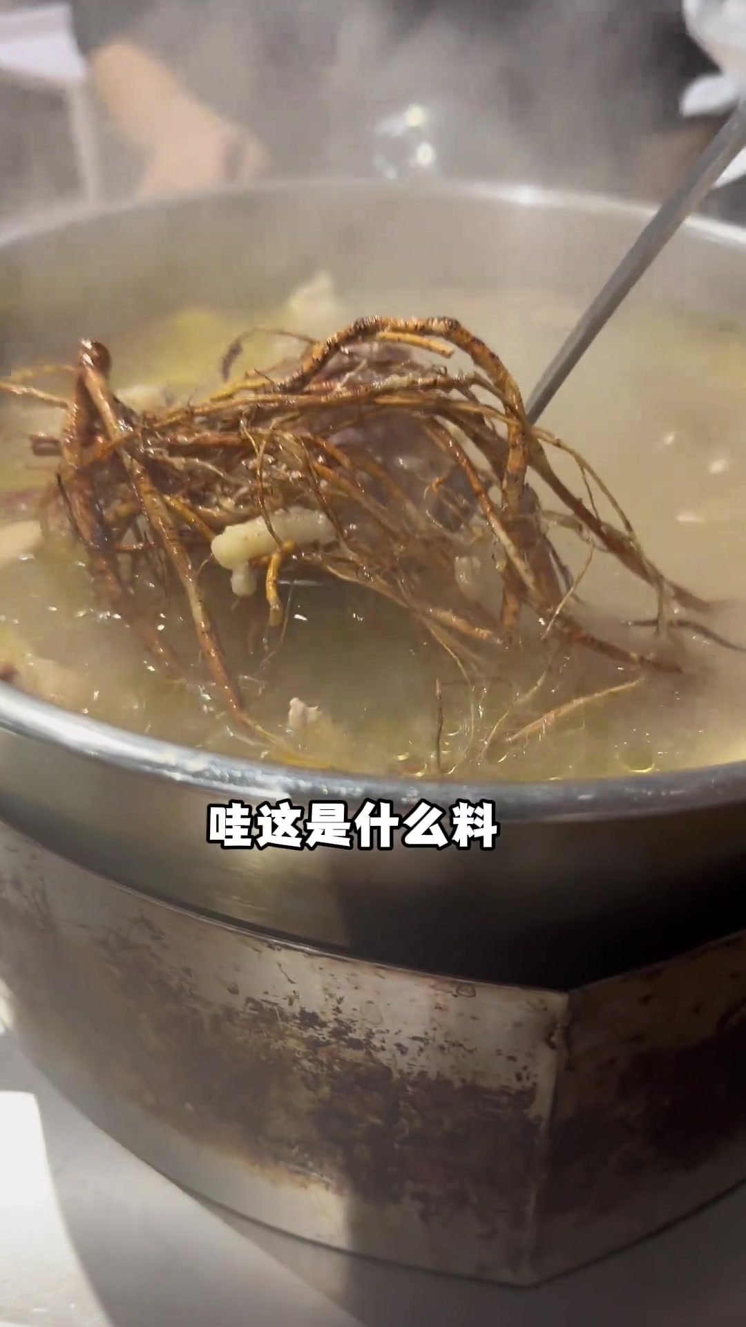 在广东你们都吃什么火锅