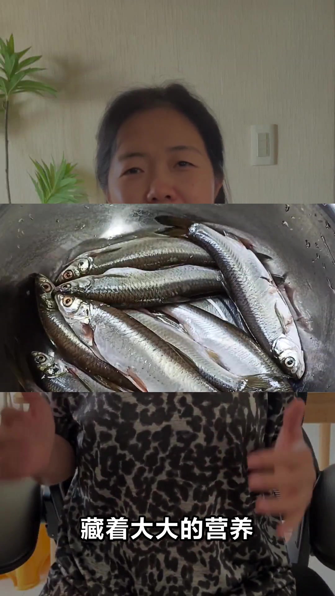 小白条鱼的营养功效与食用价值