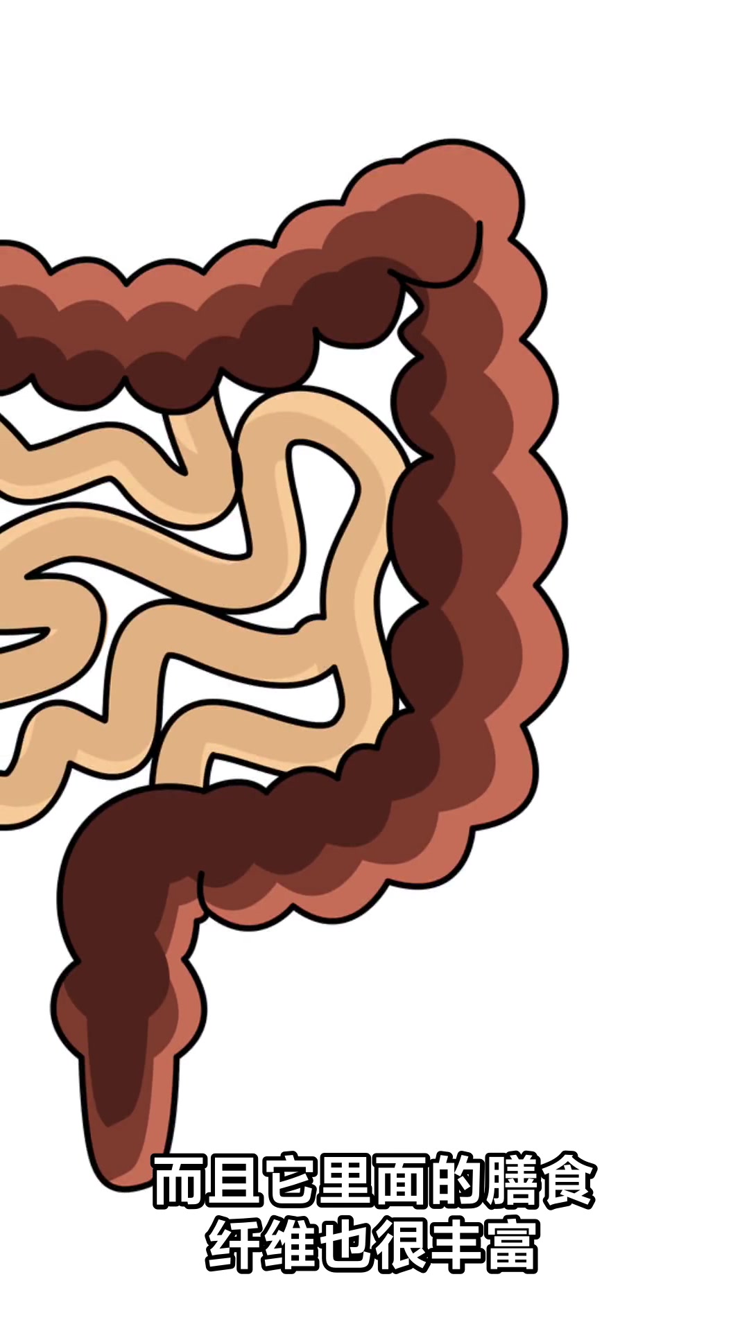 吃苋菜的好处与坏处你知道吗