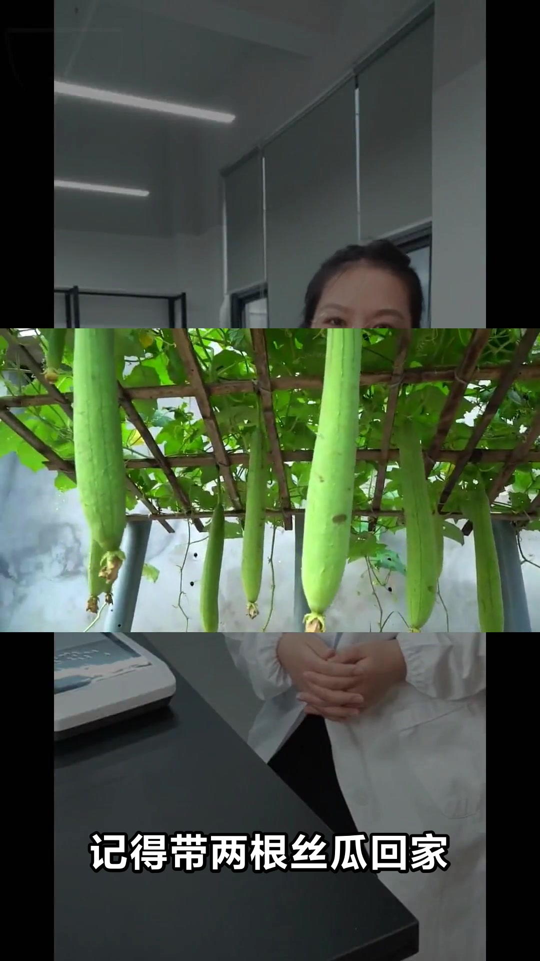 丝瓜汤的神奇功效你知道吗