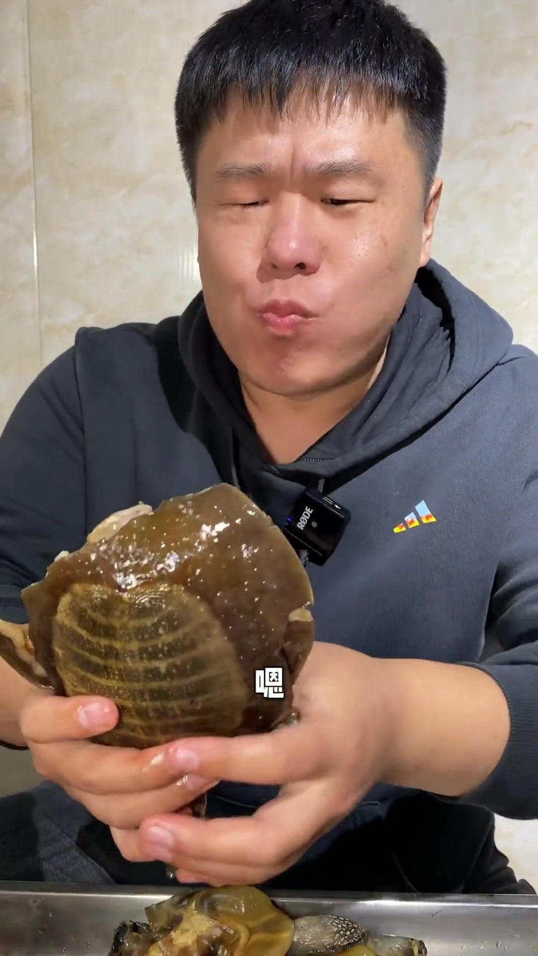 麻辣甲鱼又要重出江湖