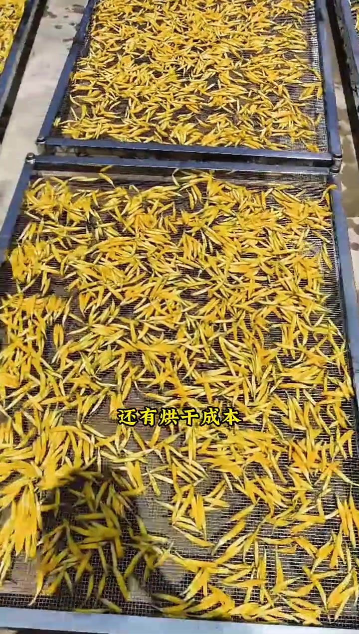 黄花菜加工,一斤干菜的烘干成本是多少?黄花菜烘干房 黄花菜烘干机 黄花菜烘干设备