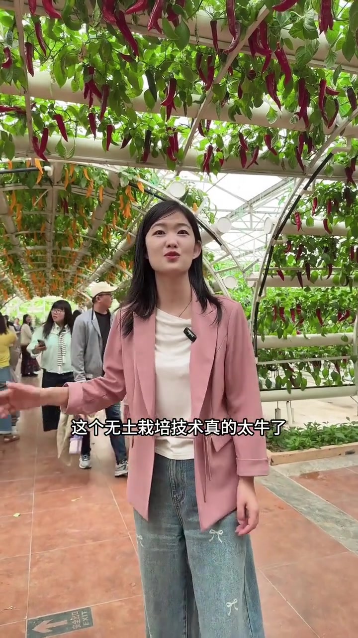 2025年寿光菜博会开始了！