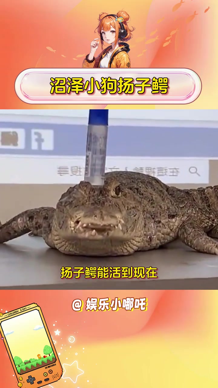 扬子鳄真的是“善鳄到头终有抱” 快乐分享大赛 搞笑二创达人扶持计划 搞笑演绎创作营