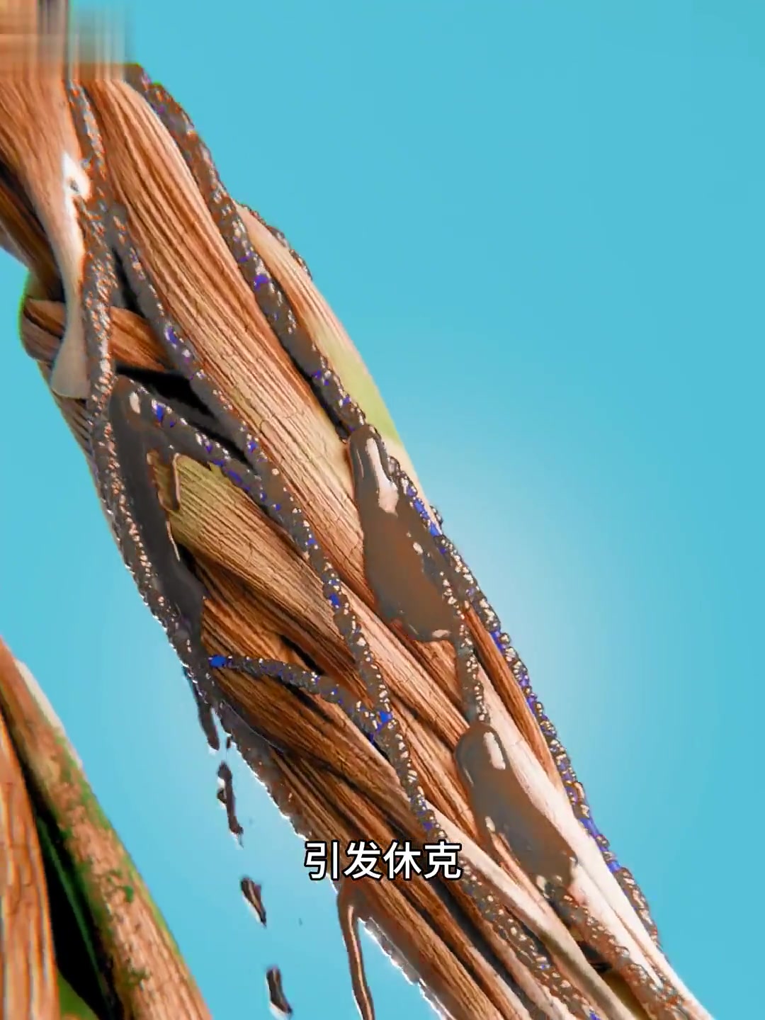 剥掉皮肤或踩石头鱼有多可怕？指甲扔海里会怎样？