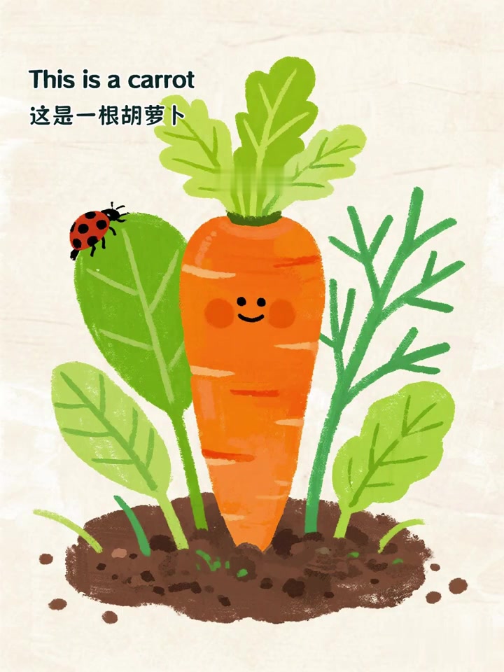 vegetables,蔬菜认知篇，英文绘本每页一句英文，配上温馨童趣的插画插图，超级适合亲