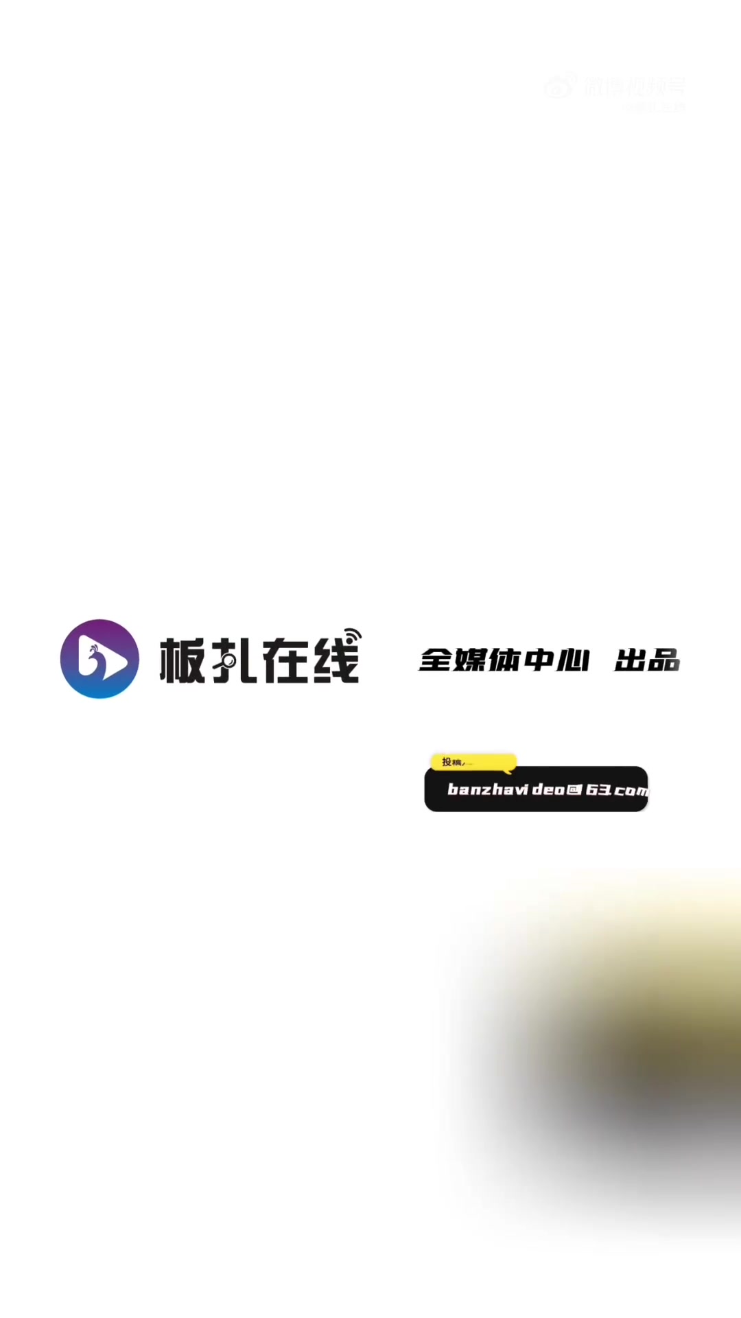 8月6日，云南丽江。女子称家养鳄龟跑到家门口马路上，被路过小车司机捡走。女子发文表示：附近