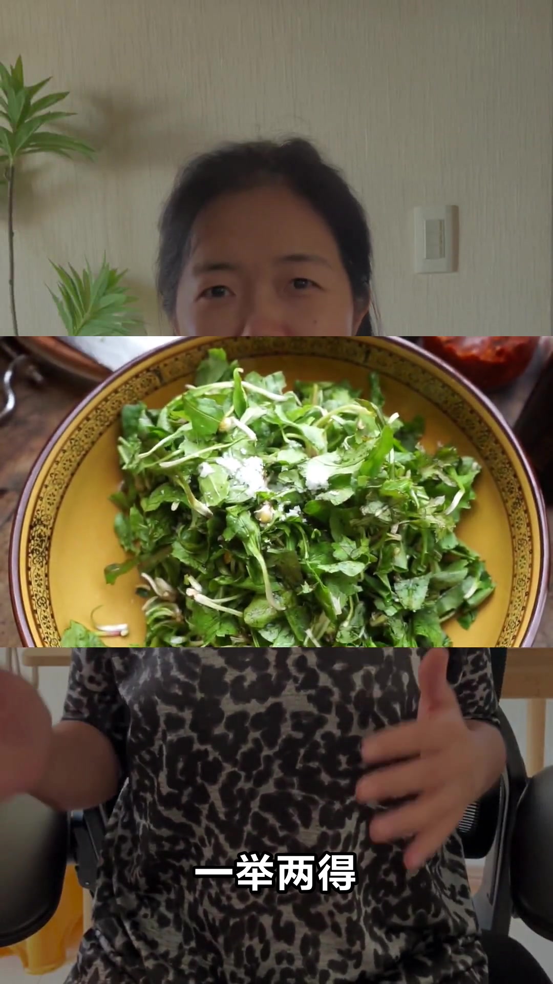 苦菜的神奇功效与作用