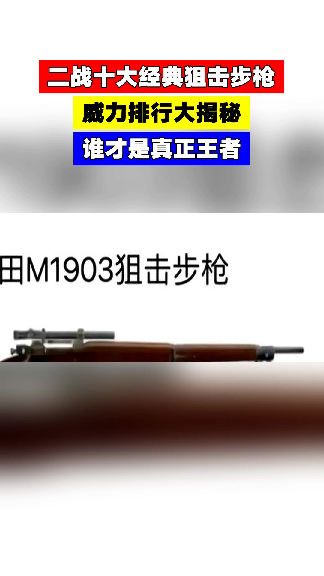 二战十大经典狙击步枪,威力排行大揭秘,谁才是真正王者