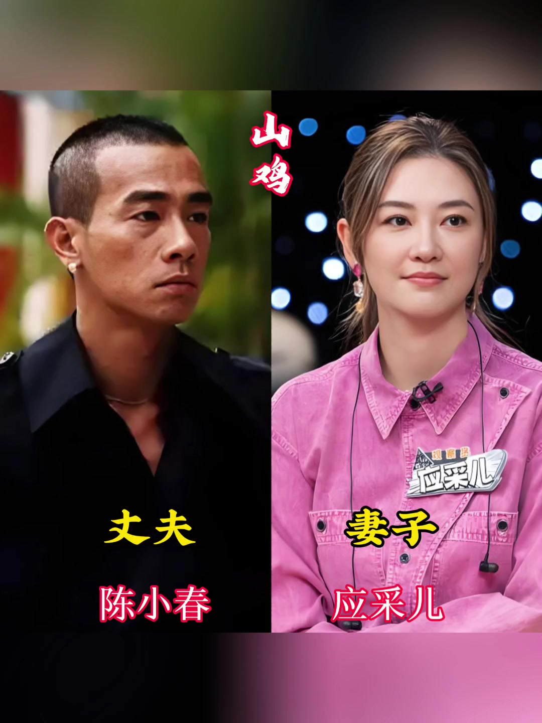 古惑仔夫妻颜值对比,浩南山鸡老婆一个比一个美